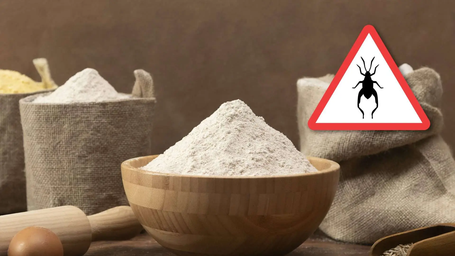 Non usare questo tipo di farina per fare il dolce: rovina consistenza e cottura