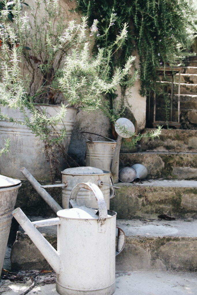 giardino, rosmarino, innaffiatoi, valdirose