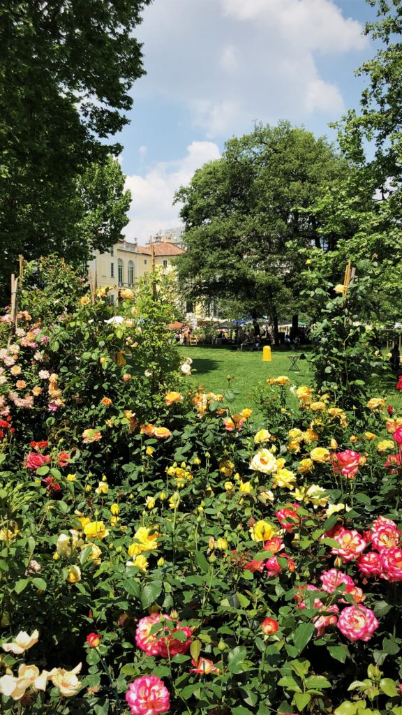 parco, milano, giardino rose, orticola