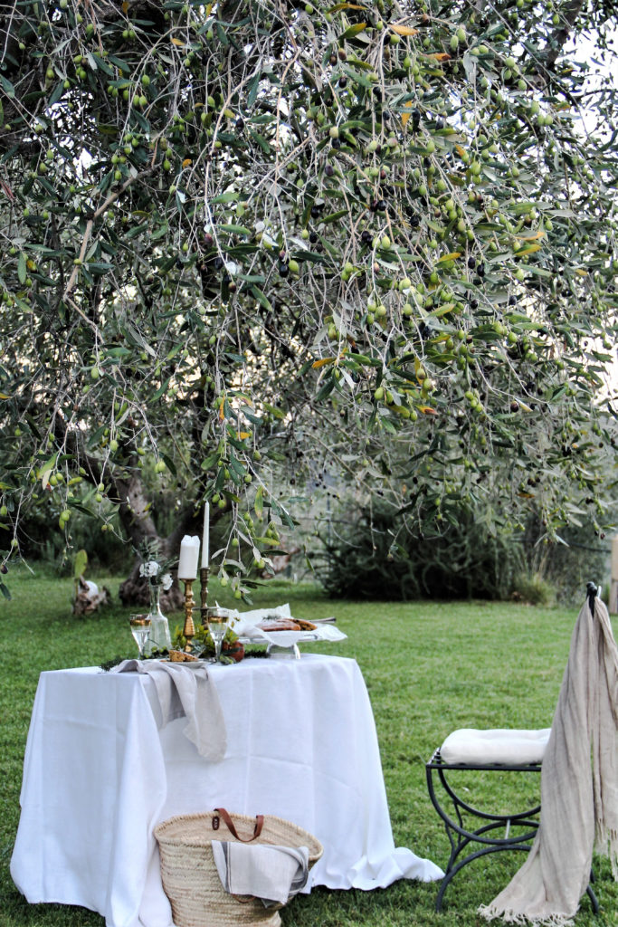 accade in tavola, tavolo, torta giardino, ulivo