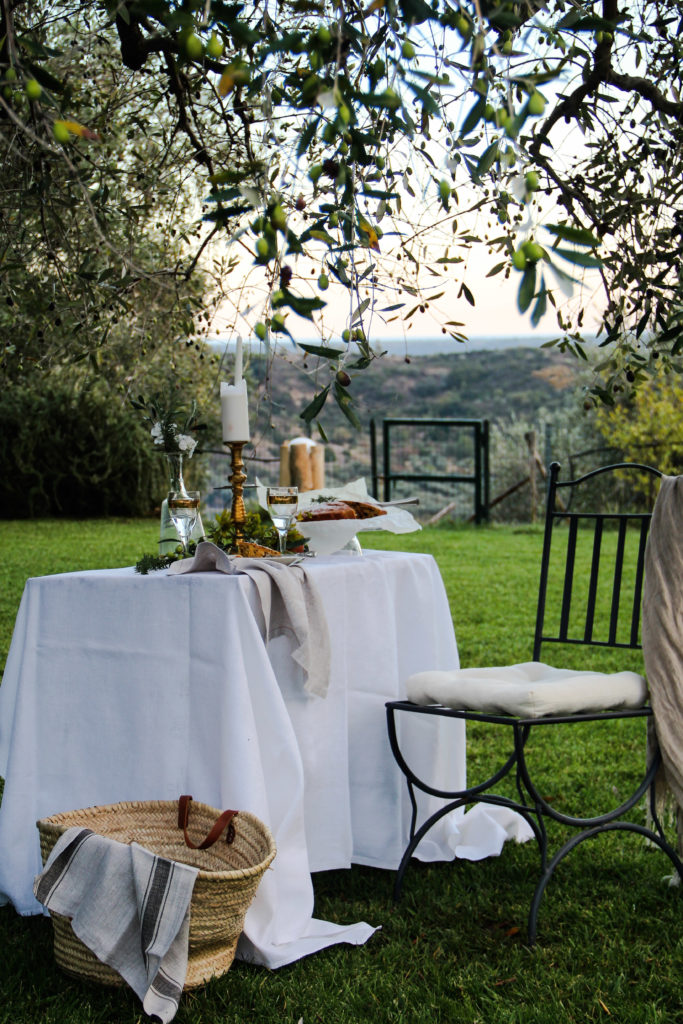 giardino, torta, storie di cibo