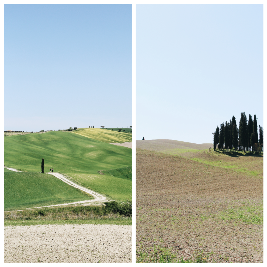 val d'orcia, toscana, campagna, cipressi