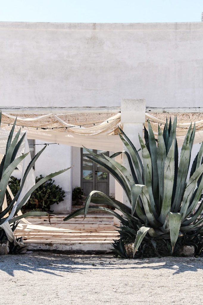 agave, masseria, salento, puglia