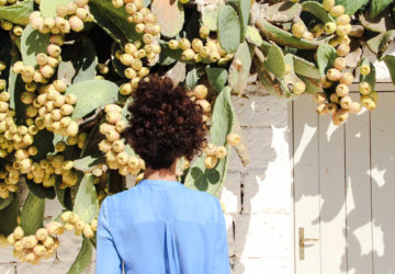 puglia, fichi d'india, accade in tavola