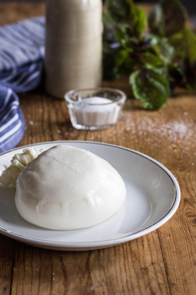 burrata