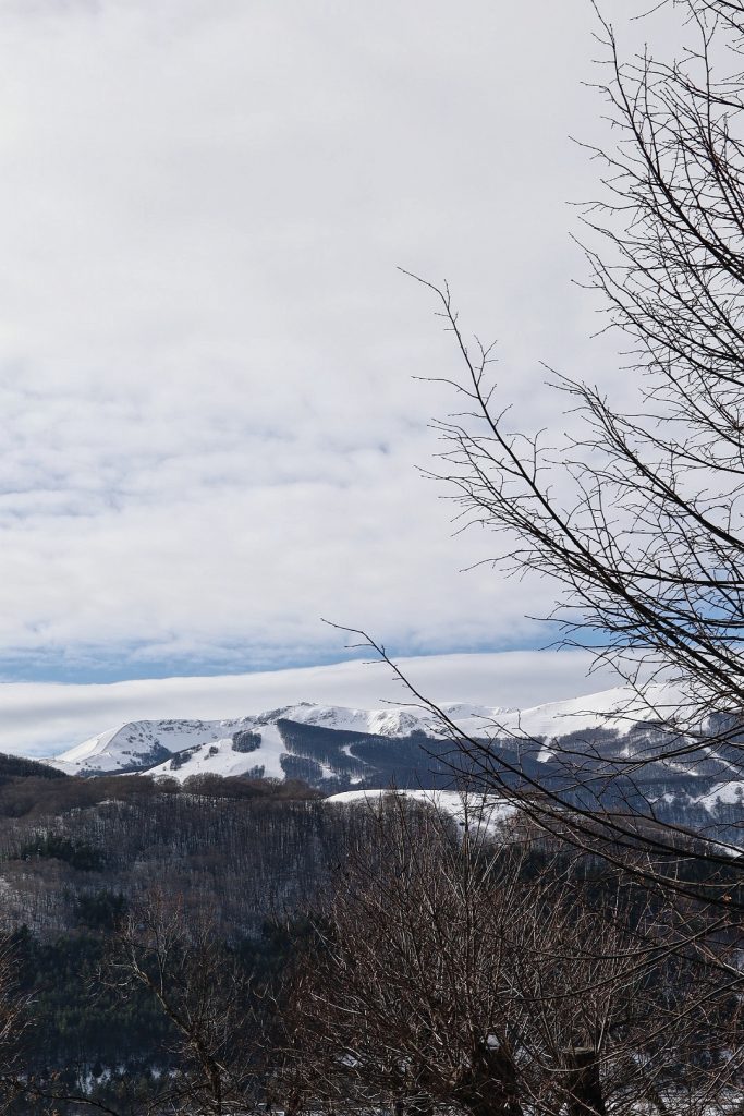 paesaggi di neve