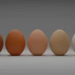 Come capire se un uovo è ancora fresco: il test infallibile da fare a casa