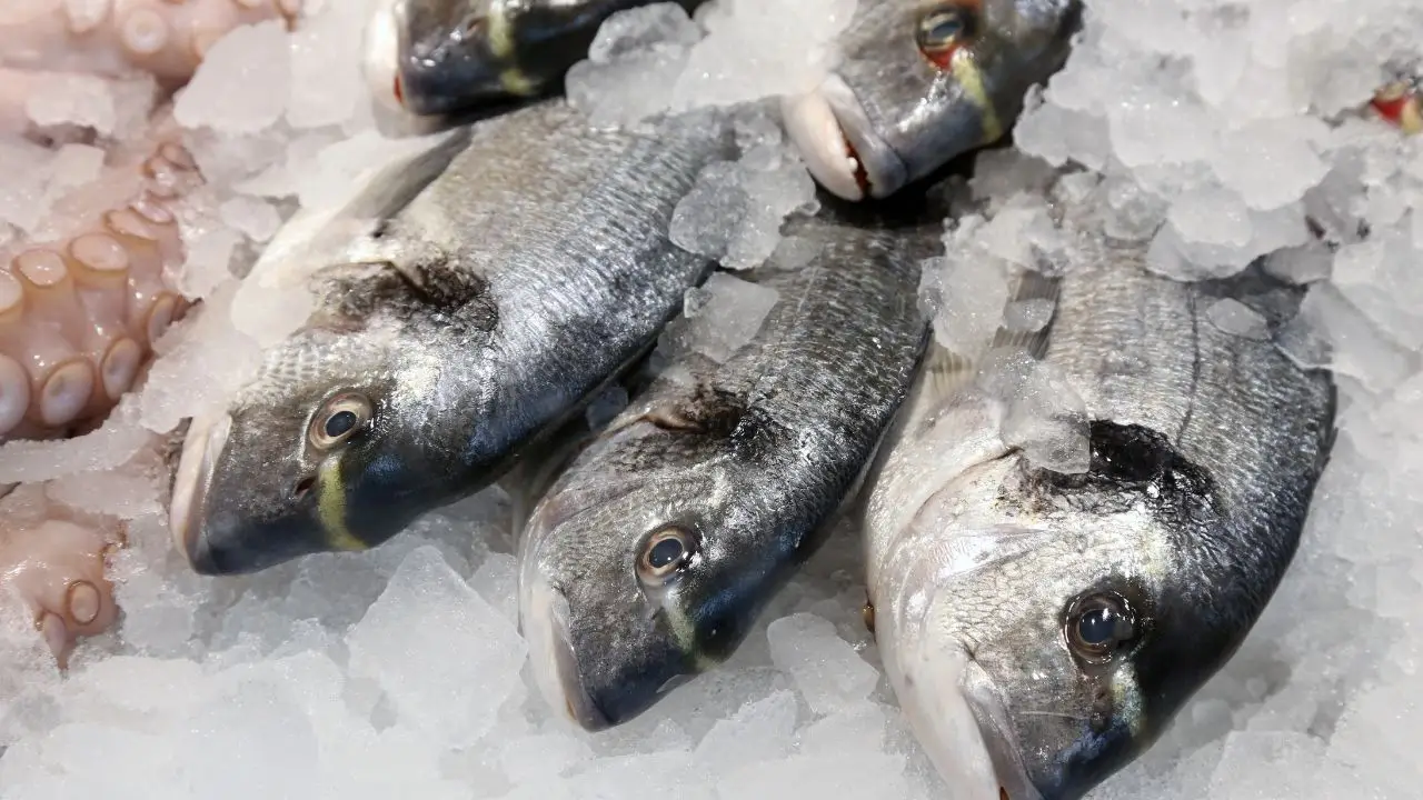 Non scongelare il pesce così: il metodo corretto che evita rischi
