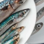 Come riconoscere un pesce davvero fresco senza farsi ingannare