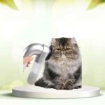 Scopri SpazzolAmica: elimina i peli degli animali e rendi la casa più pulita