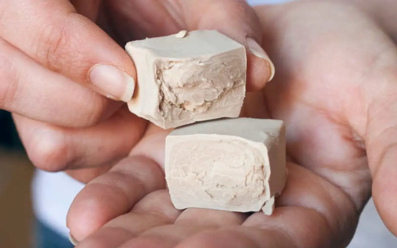 Attenzione al lievito di birra: l’errore che rovina pane e pizza